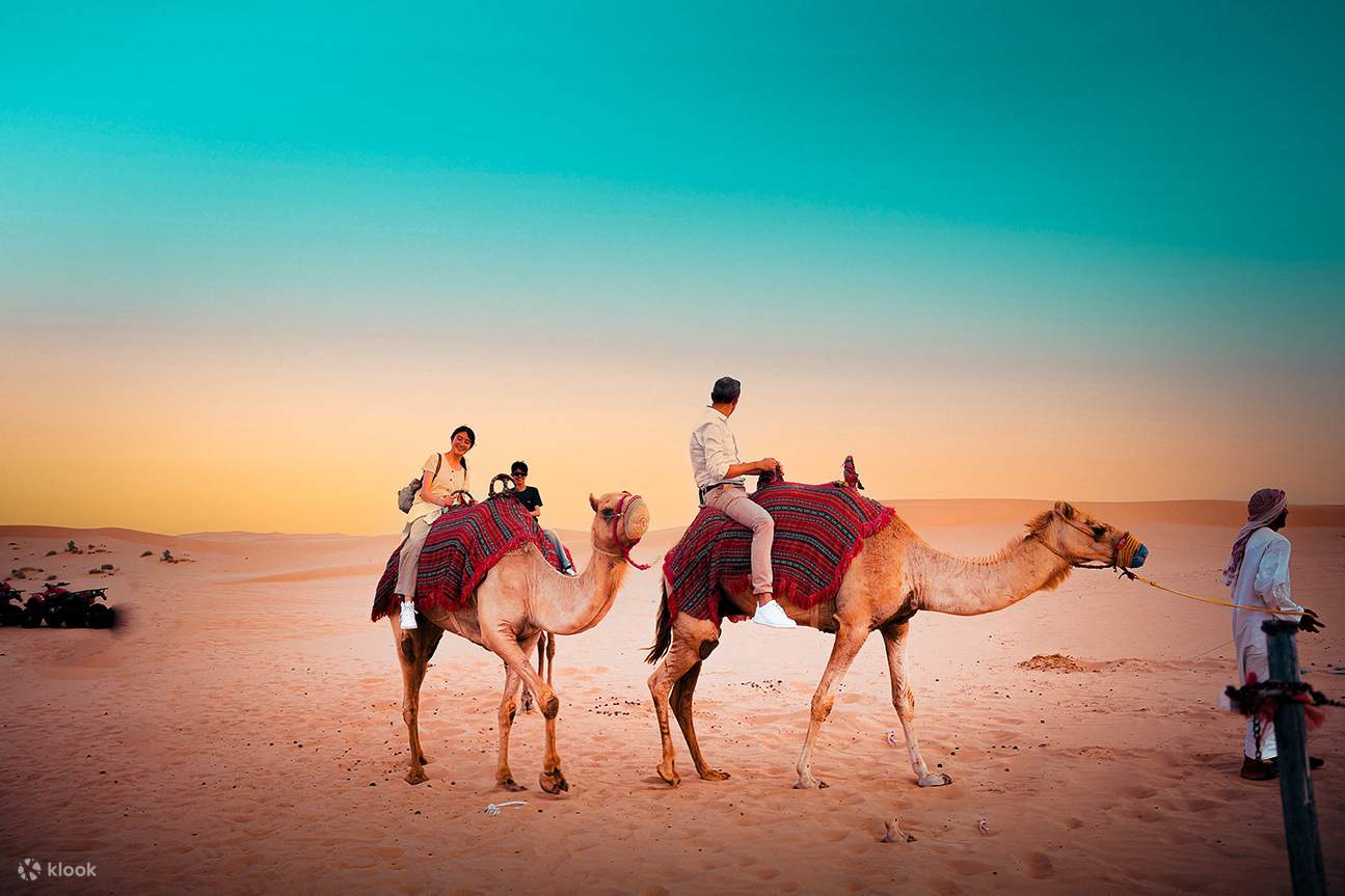 Camel Trekking in Abu Dhabi