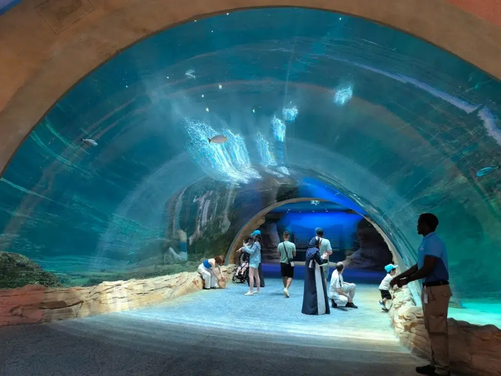 SeaWorld Abu Dhabi