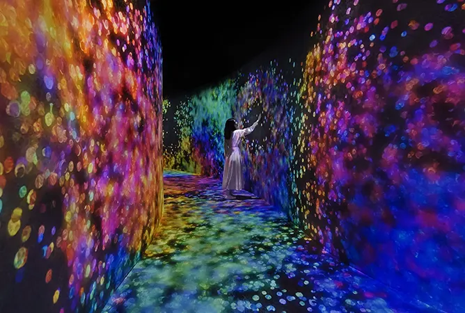 Teamlab Phenomena